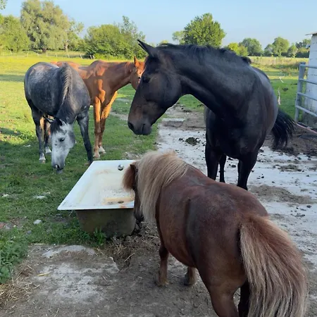 La Ferme Le Clos De La Becque